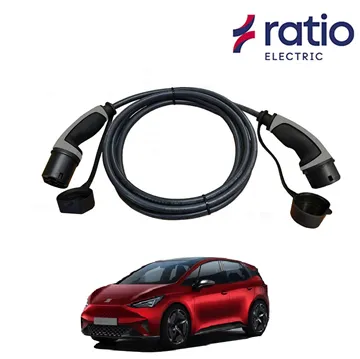Ratio Laadkabel SEAT el-Born - Recht